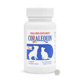 Nutramax Cobalequin bottle shows easy oral B12 for cats and dogs.