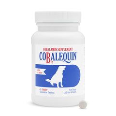 Nutramax Cobalequin B12 tablets in bottle, easy daily dog supplement.