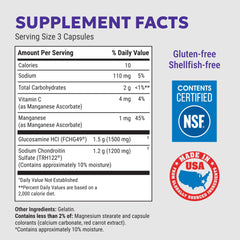 Nutramax Cosamin DS bottle label closeup emphasizing glucosamine and chondroitin ingredients.