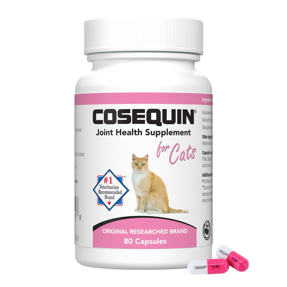 Nutramax Cosequin cat bottle front showing trusted joint health supplement for daily care.