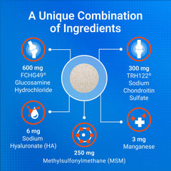 Nutramax Cosequin MSM formulation emphasizes multi-supplement support for flexible movement.