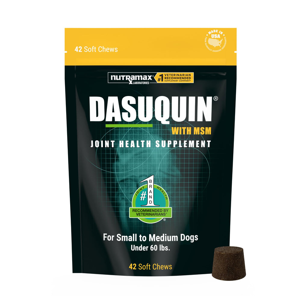 Nutramax Dasuquin soft chews pack for dogs offers easy daily joint support.