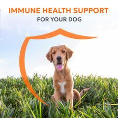 Nutramax Imuquin tub and packets shown for convenient vet-grade immune support.
