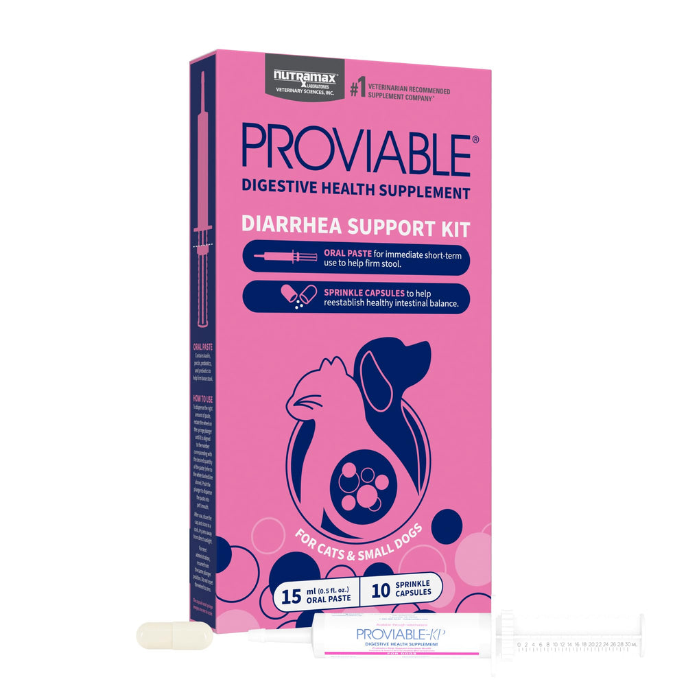 Nutramax Proviable paste 15ml syringe helps firm loose stools for small pets.