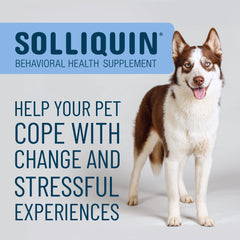 Solliquin ingredients label highlights L-theanine, Magnolia and Phellodendron for calm support