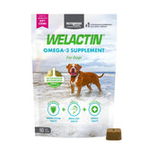 Nutramax Welactin dog soft chews bottle showing skin and coat support.