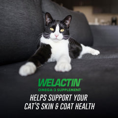 Nutramax Welactin omega-3 cat coat shine supports healthier fur