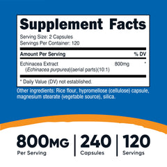 Close-up of Nutricost Echinacea 800mg capsules in vegetarian form.