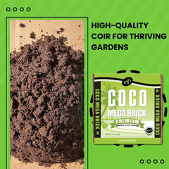 Nutrifield coco coir mega brick dry brick before soaking