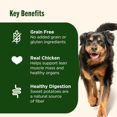 Nutrish sweet-potato fiber closeup emphasizing digestion support