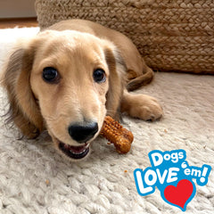 Nylabone Nubz USA-made packaging highlighting quality ingredients.