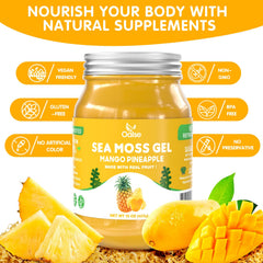 OALSE Sea Moss Gel mango pineapple mixed in bowl, ready to blend into meals.