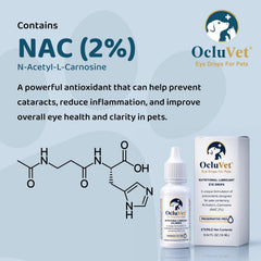 Close-up of OcluVet dropper highlighting precise, gentle administration.