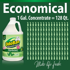 OdoBan Carpet Upholstery Odor Elimination helps remove pet smells and refresh fabrics.