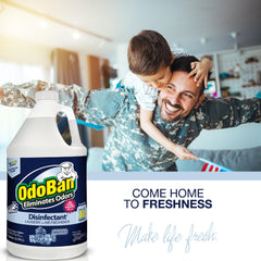 OdoBan Night Ice laundry refresher brightens fabrics in washing.