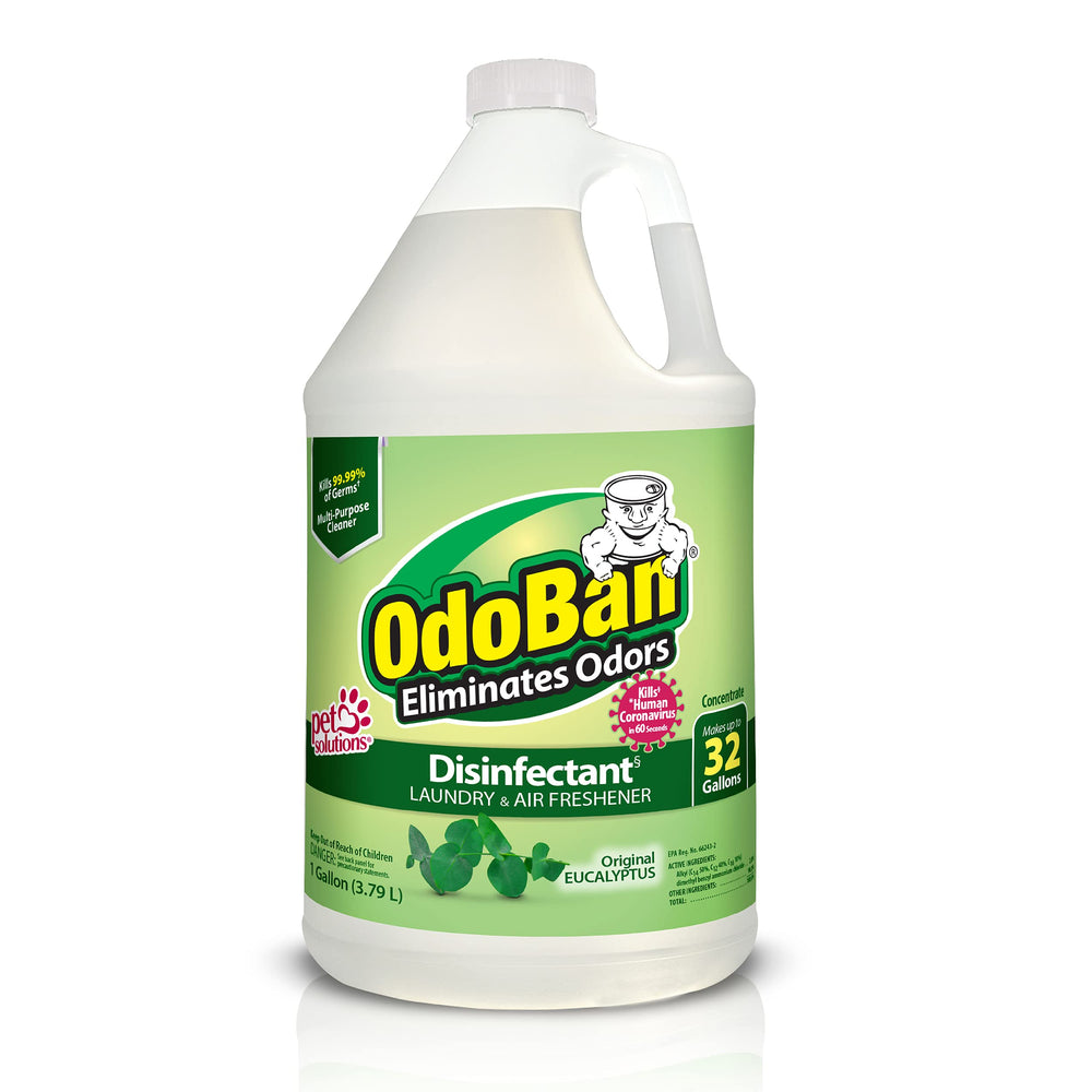 OdoBan Original Eucalyptus bottle ready for cleaning and deodorizing surfaces.