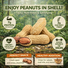 Office Roast snack on the go with peanuts in shell for travel.