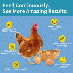 OHNAME BSFL larvae in feeding bowl for flocks