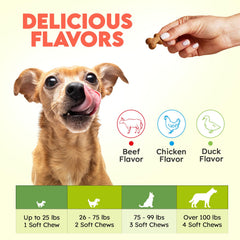 OKKÖBI Collagène pour chiens – présence d’acide hyaluronique dans la formule.