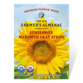 The Old Farmer's Almanac Mammoth Gray Stripe seeds pack ready for sowing in sun