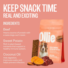 Ollie beef jerky close-up highlights a meat-first recipe