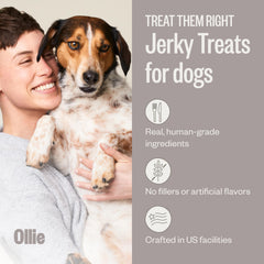 Ollie beef and sweet potato jerky pack, real meat for tasty snacks