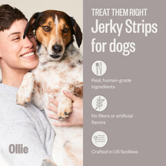 Ollie Jerky variety pack beef-sweet-potato 5oz, hearty snack for dogs.