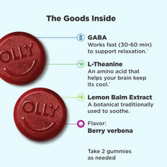OLLY Goodbye Stress Gummies label close-up highlighting GABA and L-Theanine.