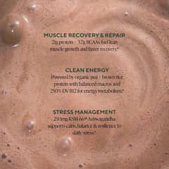 Pouring chocolate protein shake with OM Mushroom Master Blend post-workout