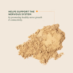 OM MUSHROOM SUPERFOOD Lion's Mane powder scoop shows precise 2,000 mg servings.