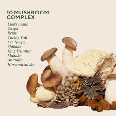 OM Mushroom Master Blend capsules close-up showing the 10 mushroom blend.