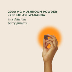 Close-up of OM Mushroom Superfood Master Blend Gummies label highlights the 10-mushroom complex