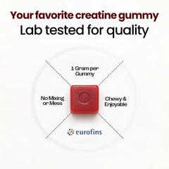 Close-up of OMNI Creatine Gummies highlighting tasty watermelon flavor and chew