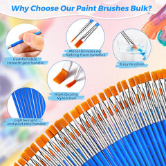 Premium nylon bristles resist shedding for classroom durability during projects