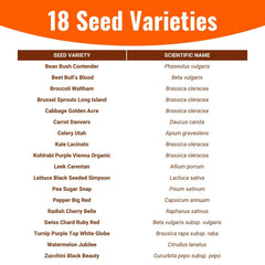 Open Seed Vault bulls-blood-beet-packet brings vibrant roots for fresh salads