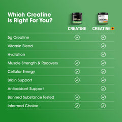 Optimum Nutrition Creatine 2500 capsules package front with a GMP badge.
