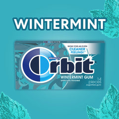 Orbit Wintermint gum texture and cool mint flavor for a refreshing finish.