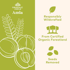 Close-up of Organic India Amalaki label with USDA Organic and Non-GMO notes