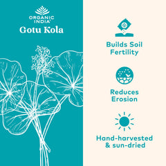 ORGANIC INDIA Gotu Kola bottle pour showing capsules for daily calm.