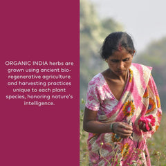 Organic India Triphala powder close-up on vibrant organic fruits for digestion