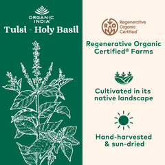 Eco-friendly Organic India Tulsi capsules closeup for easy daily use
