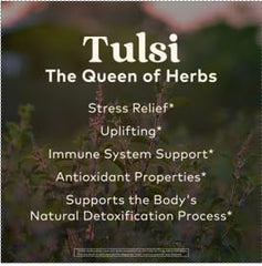 Organic India Tulsi Sleep packaging highlighting caffeine-free night-time use.