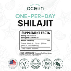 Organics Ocean Shilajit capsule closeup showing potency for daily wellness.