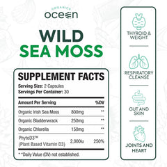 Organics Ocean sea moss capsules ingredients blend with bladderwrack and chlorella.