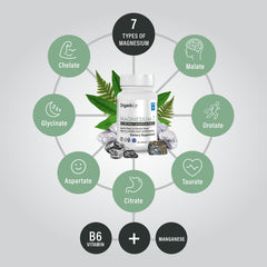Organixx magnesium ingredient panel highlights seven bioavailable forms.
