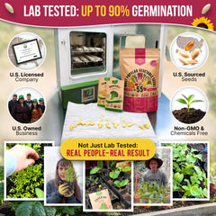 Organo Republic 55-seed packets inside, neatly organized for planting.