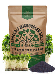 Organo Republic broccoli sprouting seeds bulk 4oz package for quick home sprouts
