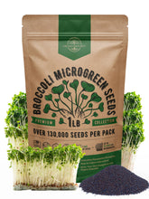 Organo Republic broccoli sprouts seeds pack ready for soil, coco coir, or hydroponic setups.