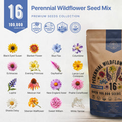 Indoor window garden setup using Organo Republic wildflowers for bright color.