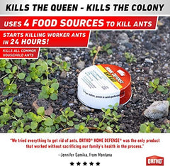 Ortho Ant Traps Indoor activated by puncture for quick deployment